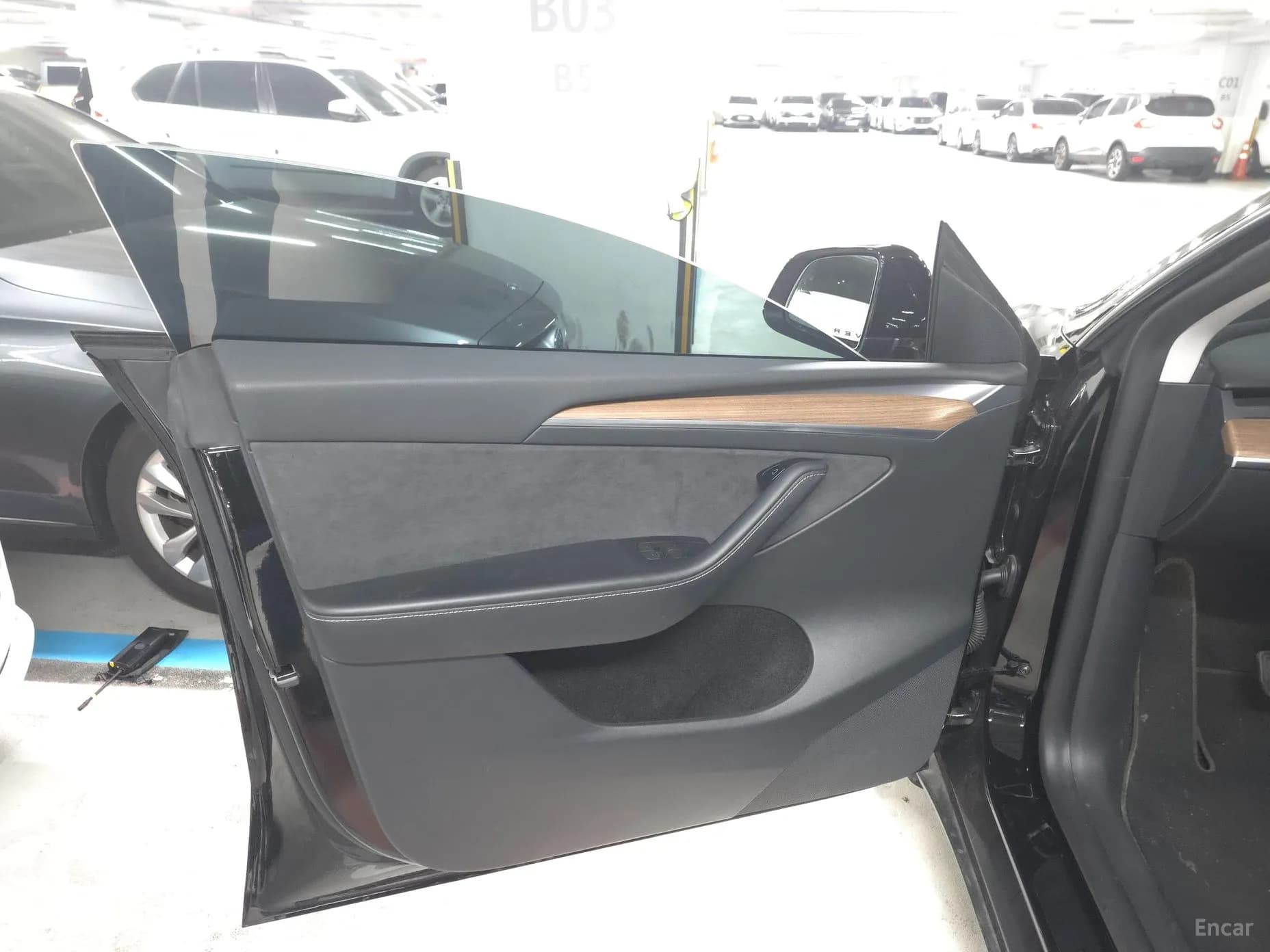 Model Y