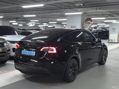 Model Y