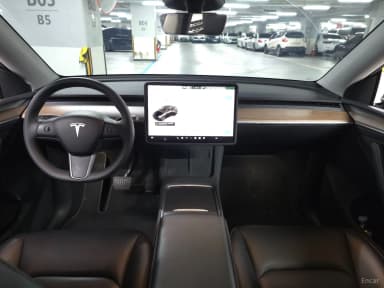 Model Y