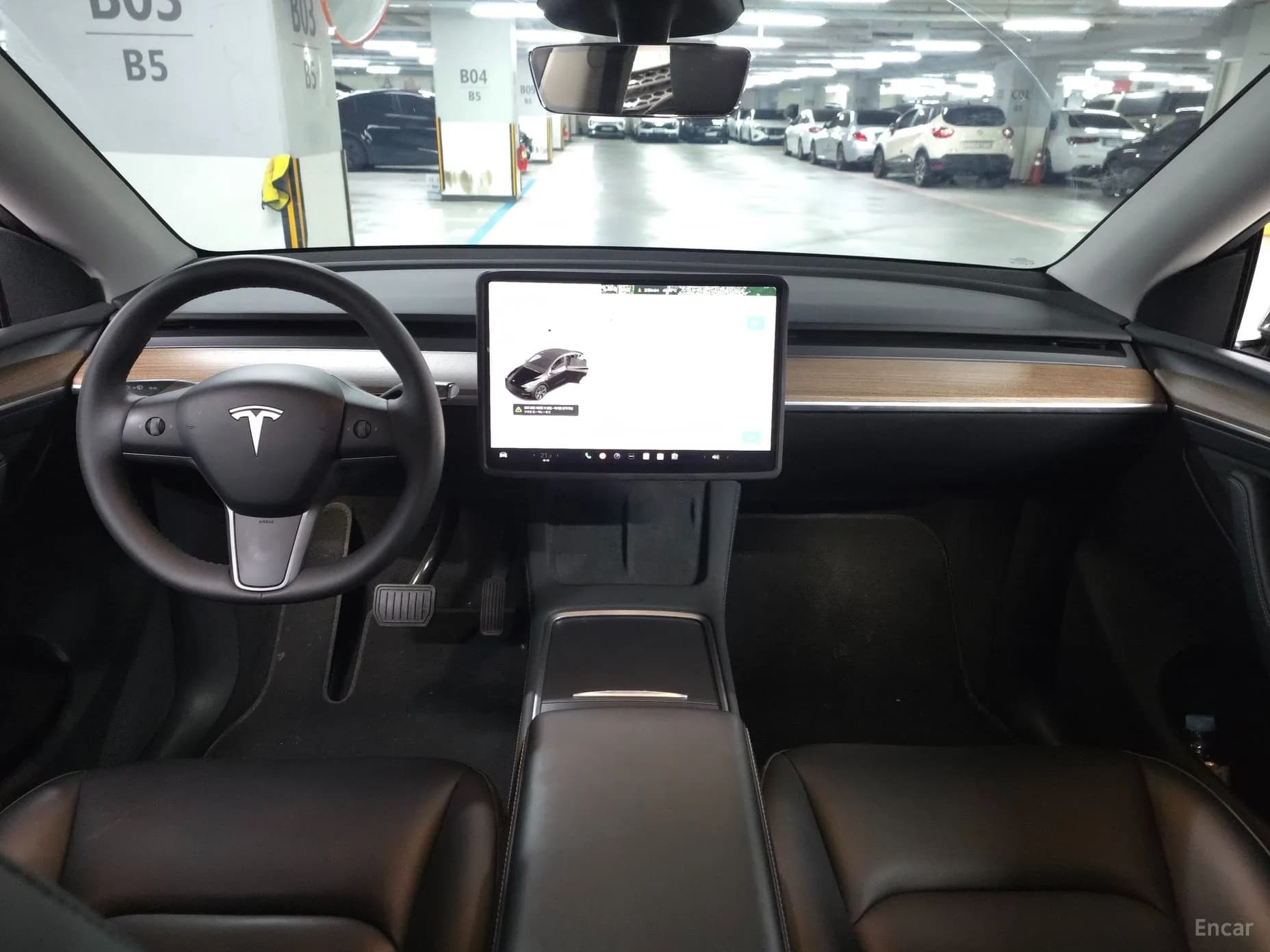 Model Y