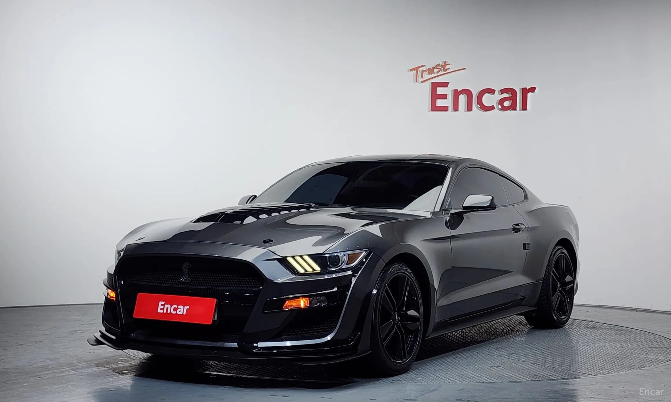 Mustang