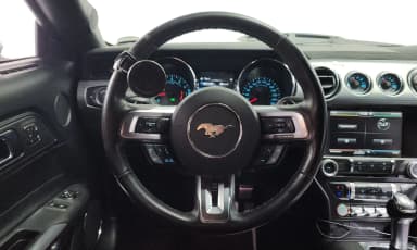 Mustang