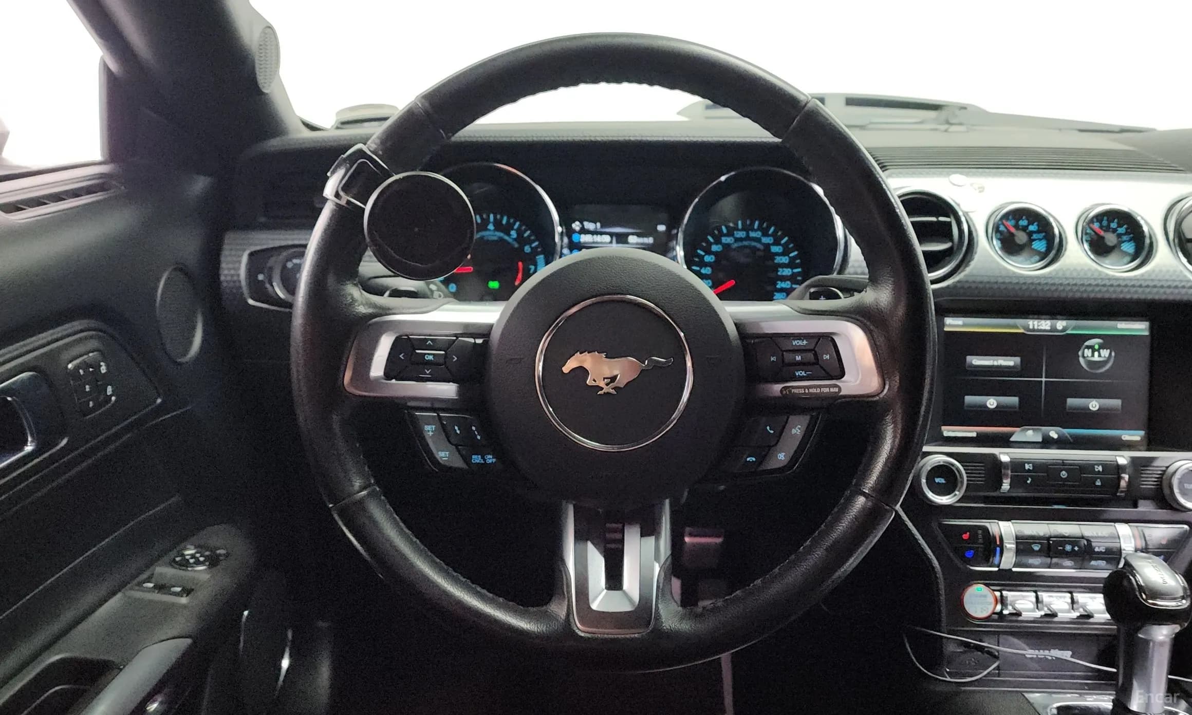 Mustang