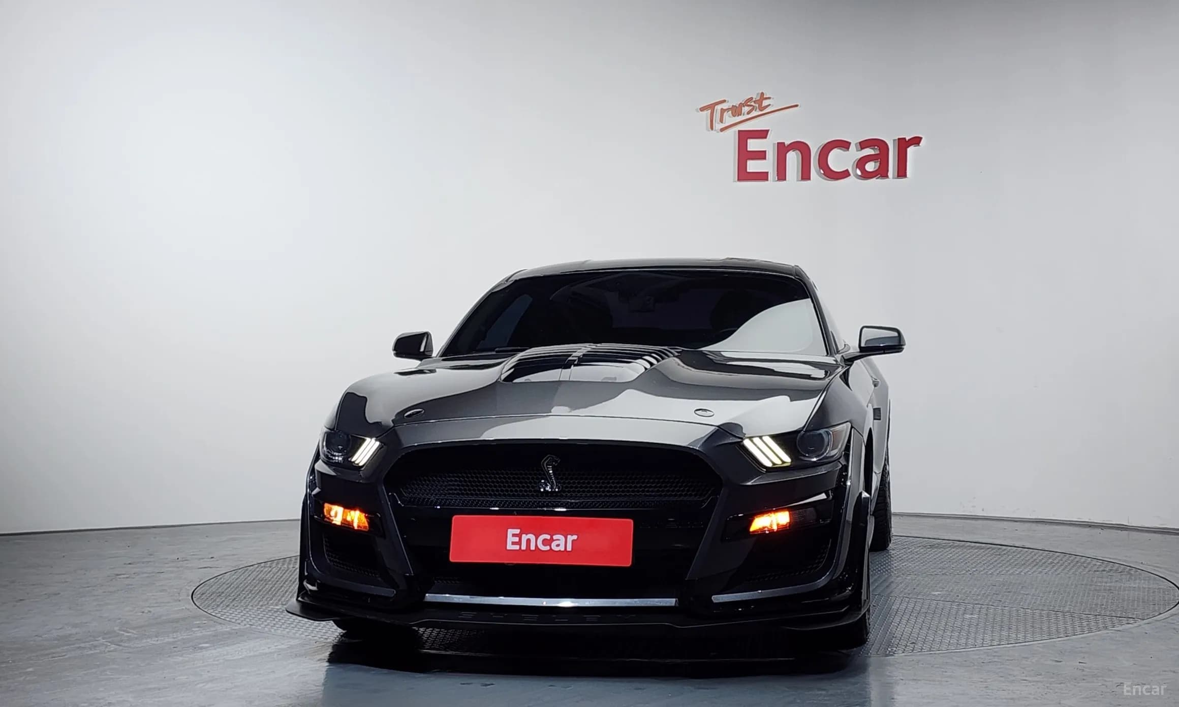 Mustang
