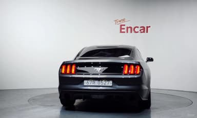Mustang