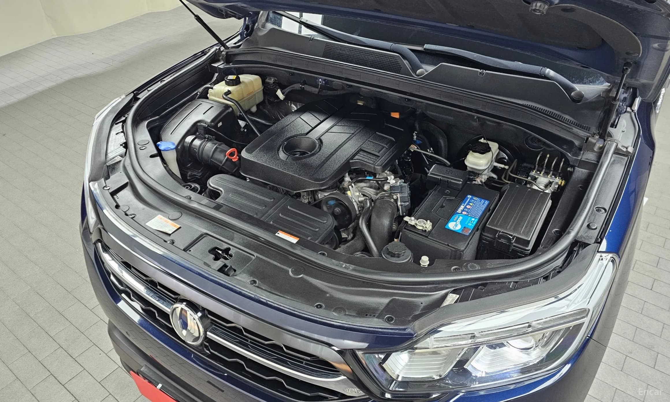 Rexton Sports