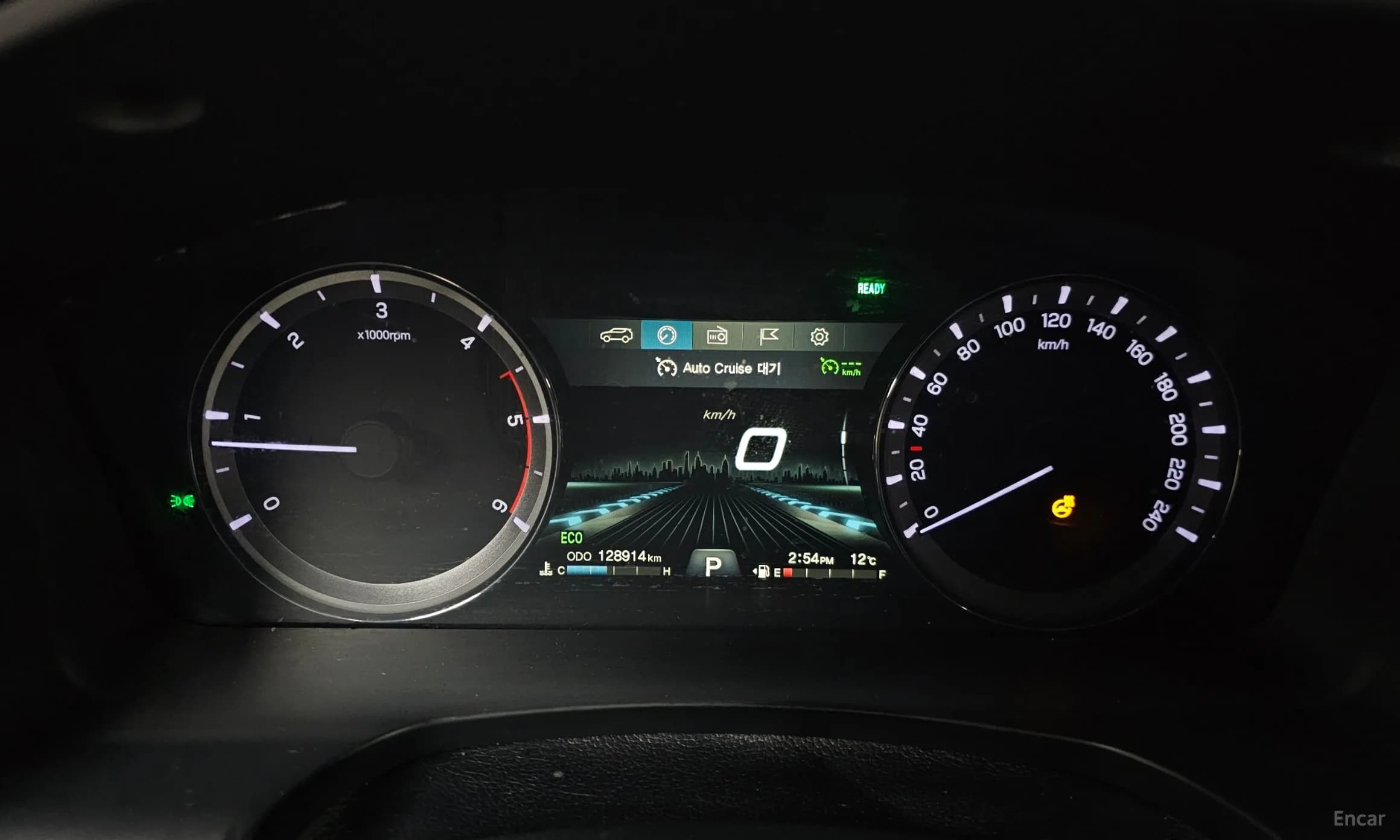 Rexton Sports