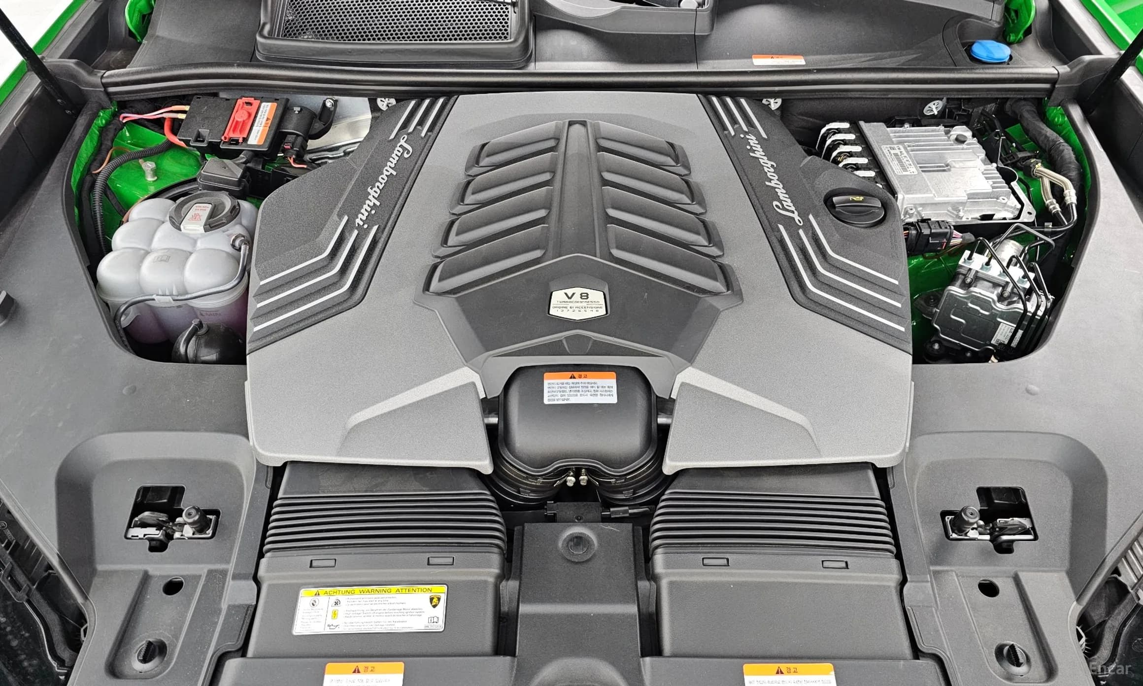 Urus