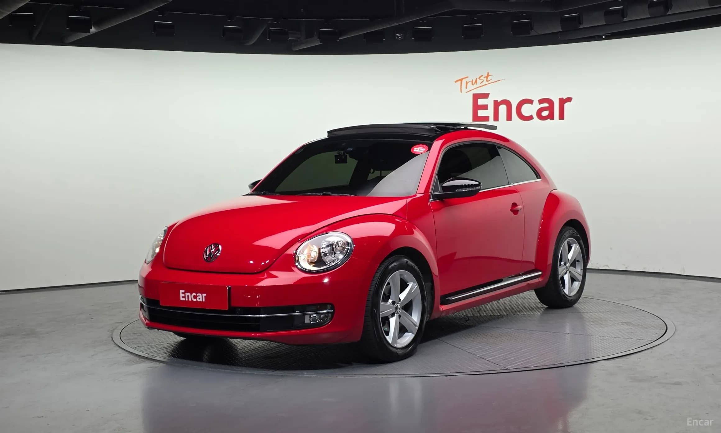 The Beetle