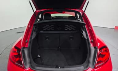 The Beetle