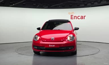The Beetle