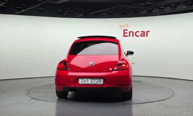 The Beetle