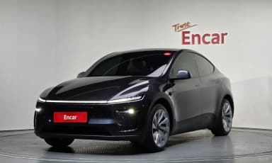 Model Y