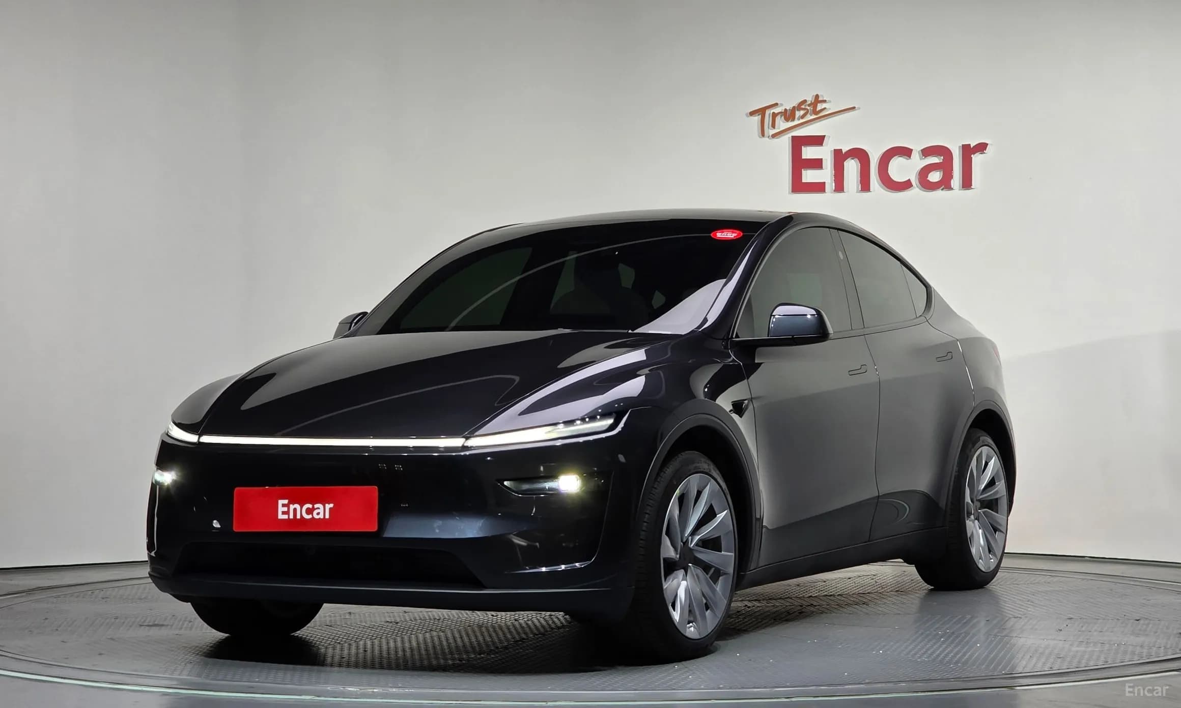 Model Y