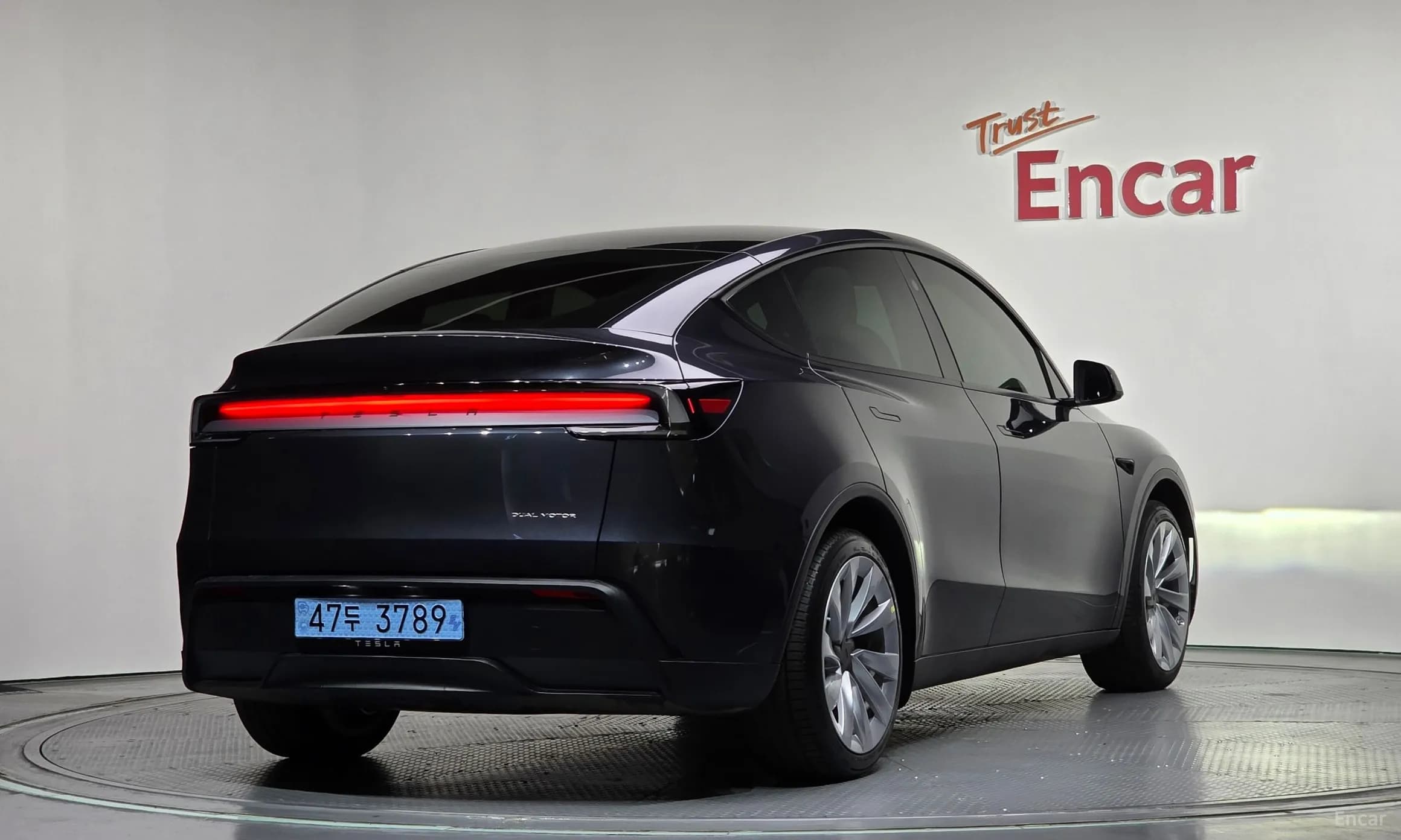 Model Y