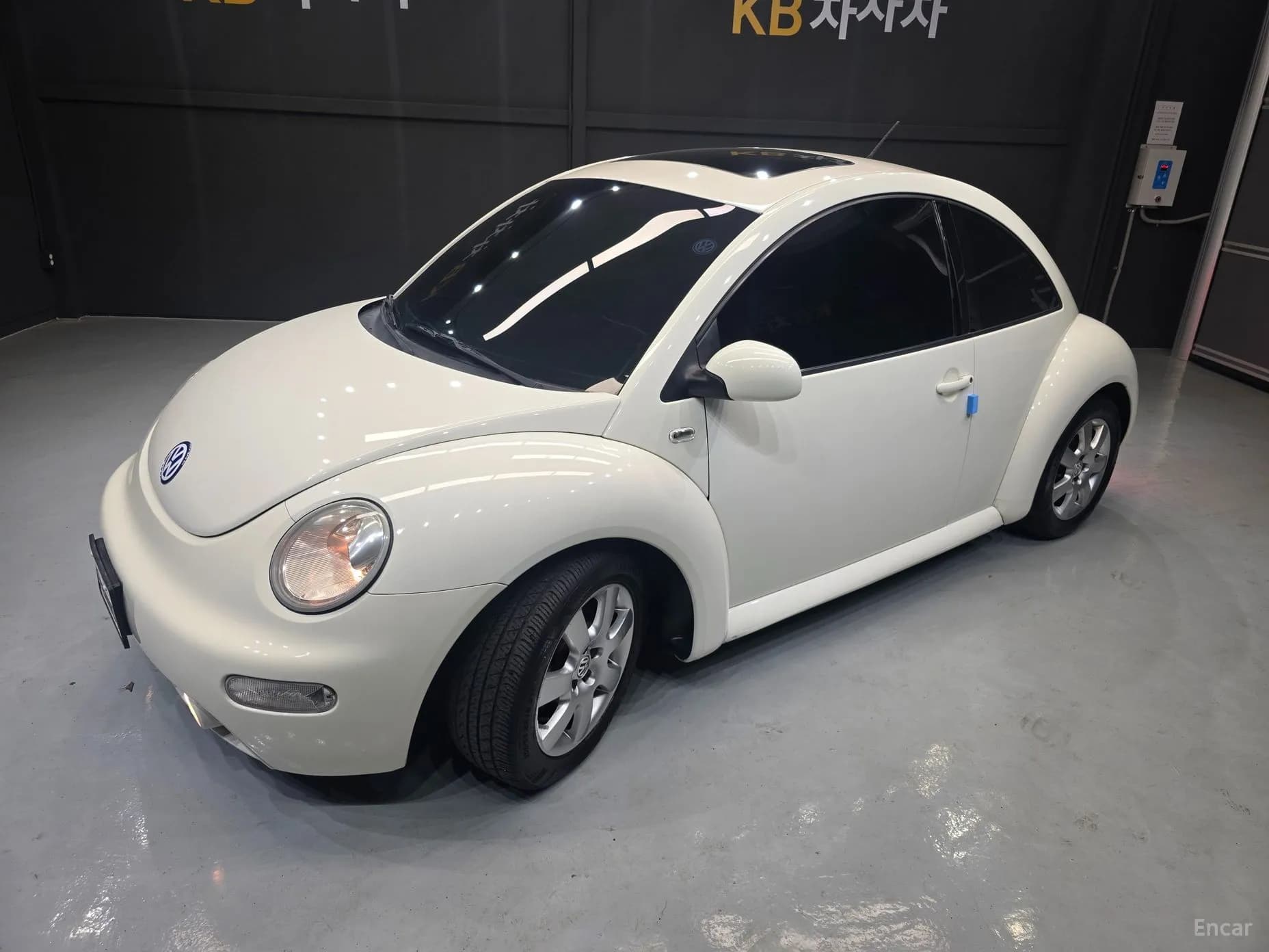 New Beetle