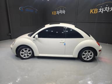 New Beetle