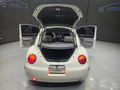 New Beetle