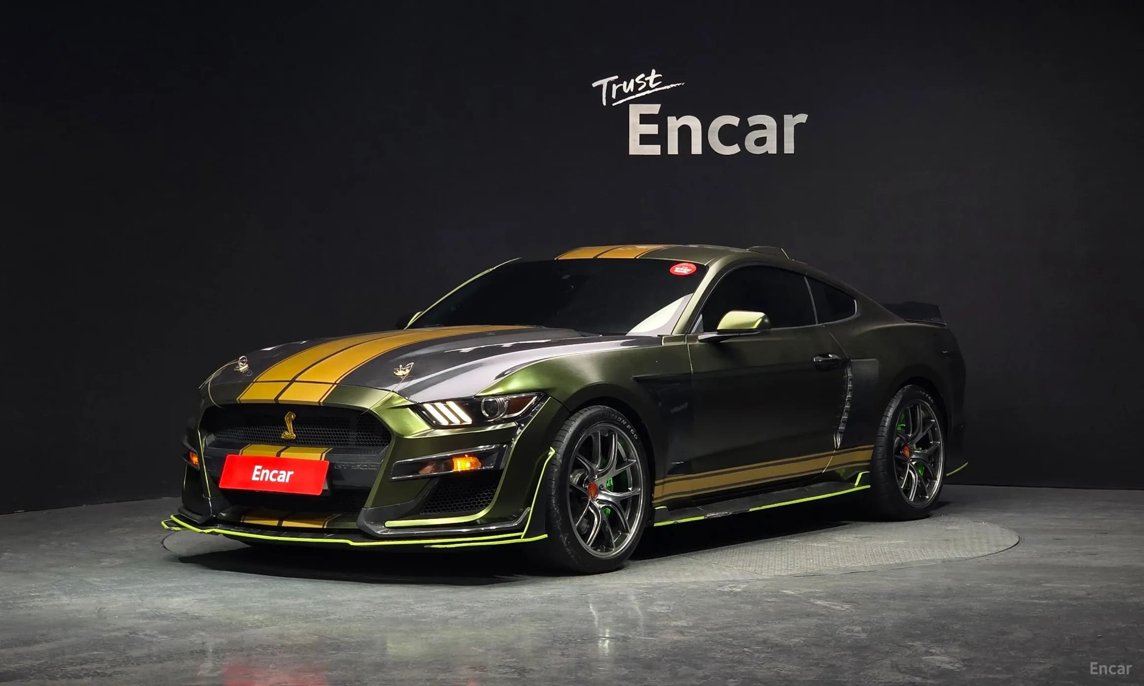Mustang
