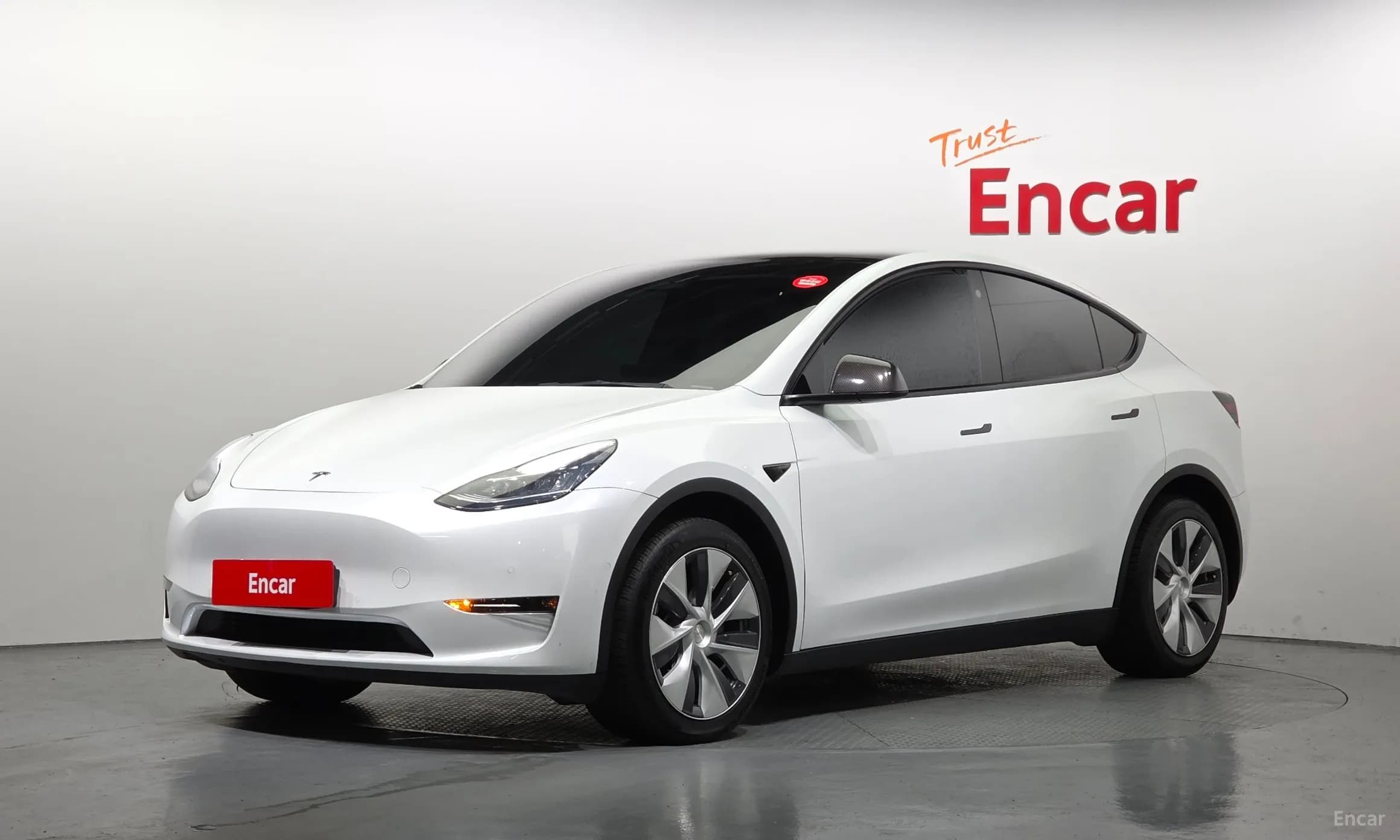 Model Y