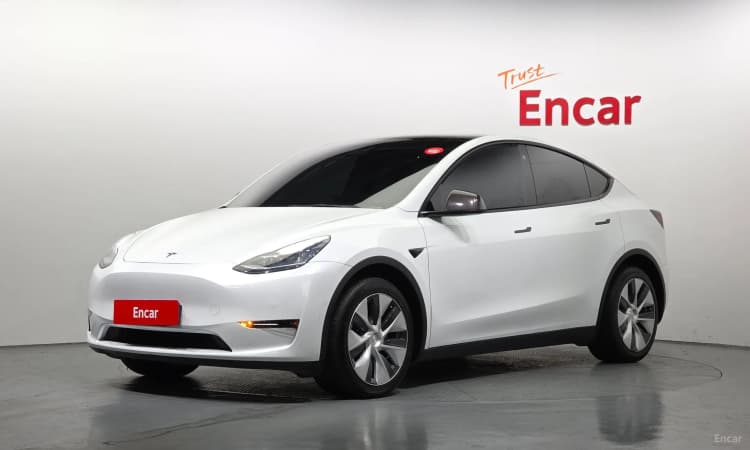 Model Y
