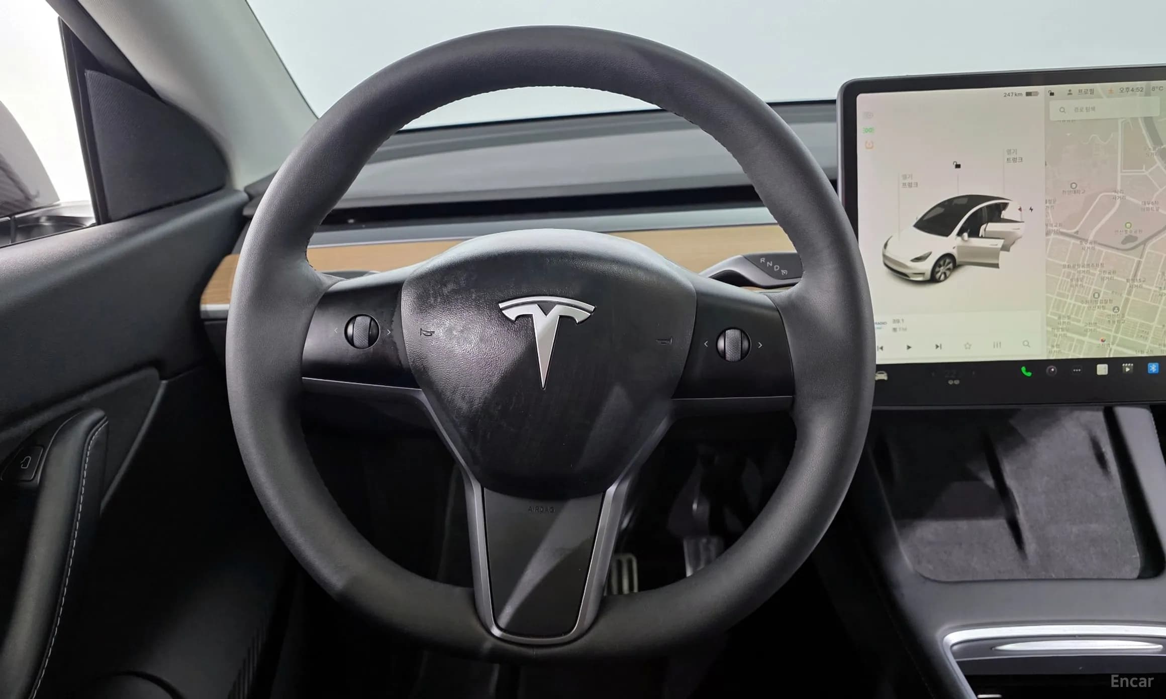 Model Y