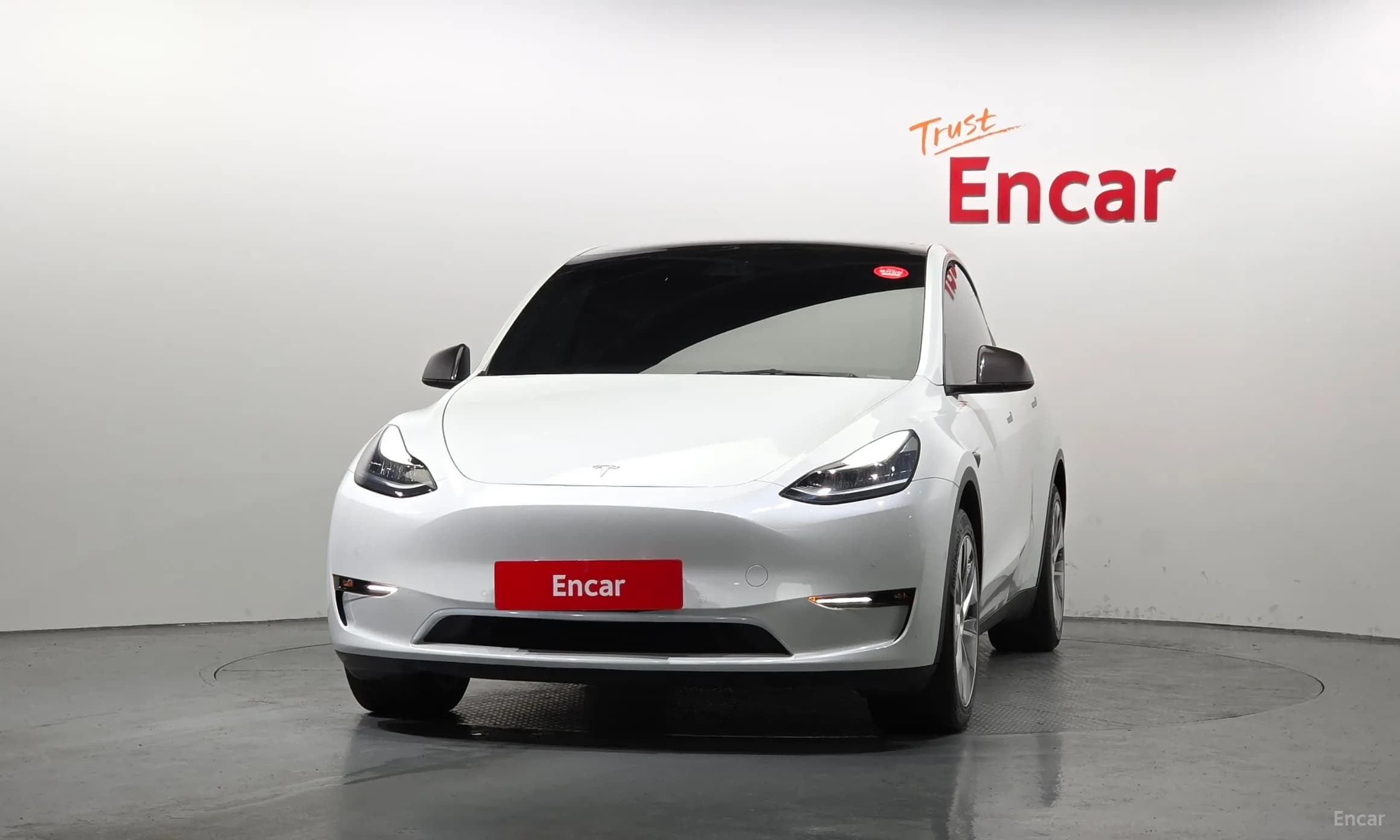 Model Y