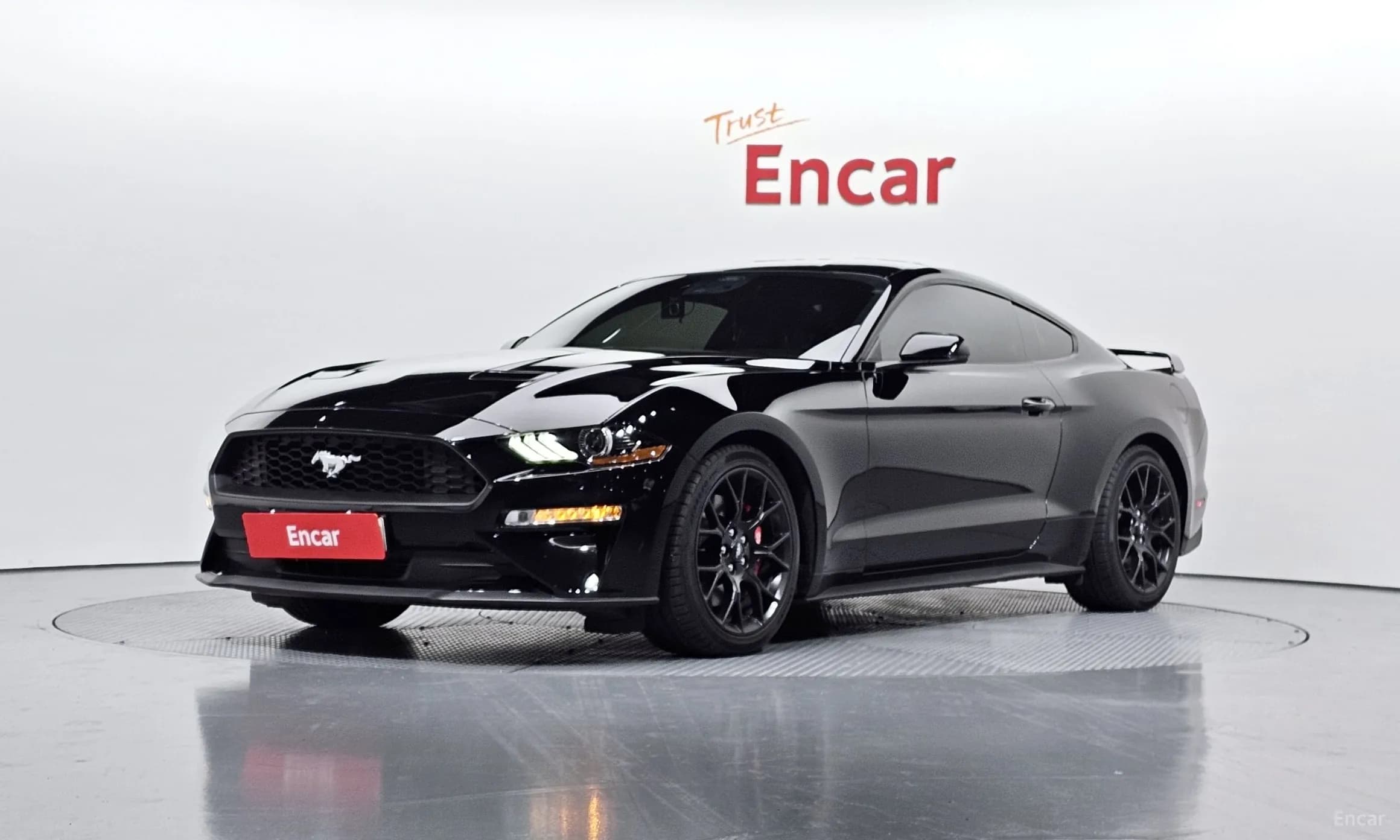 Mustang