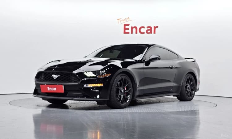 Mustang