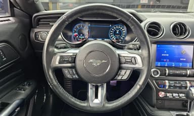 Mustang