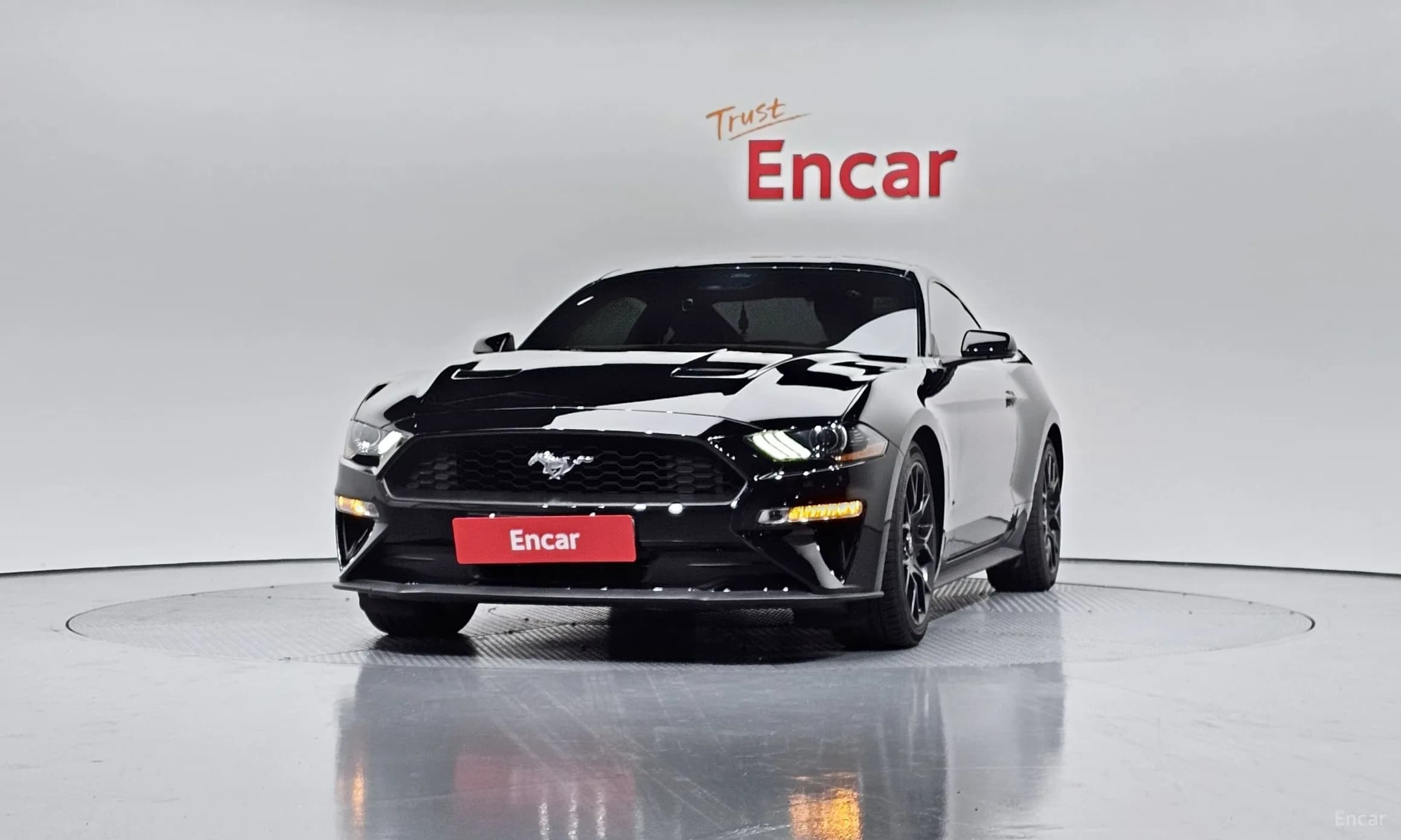 Mustang