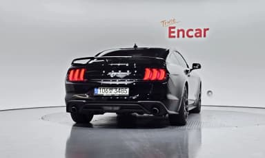 Mustang