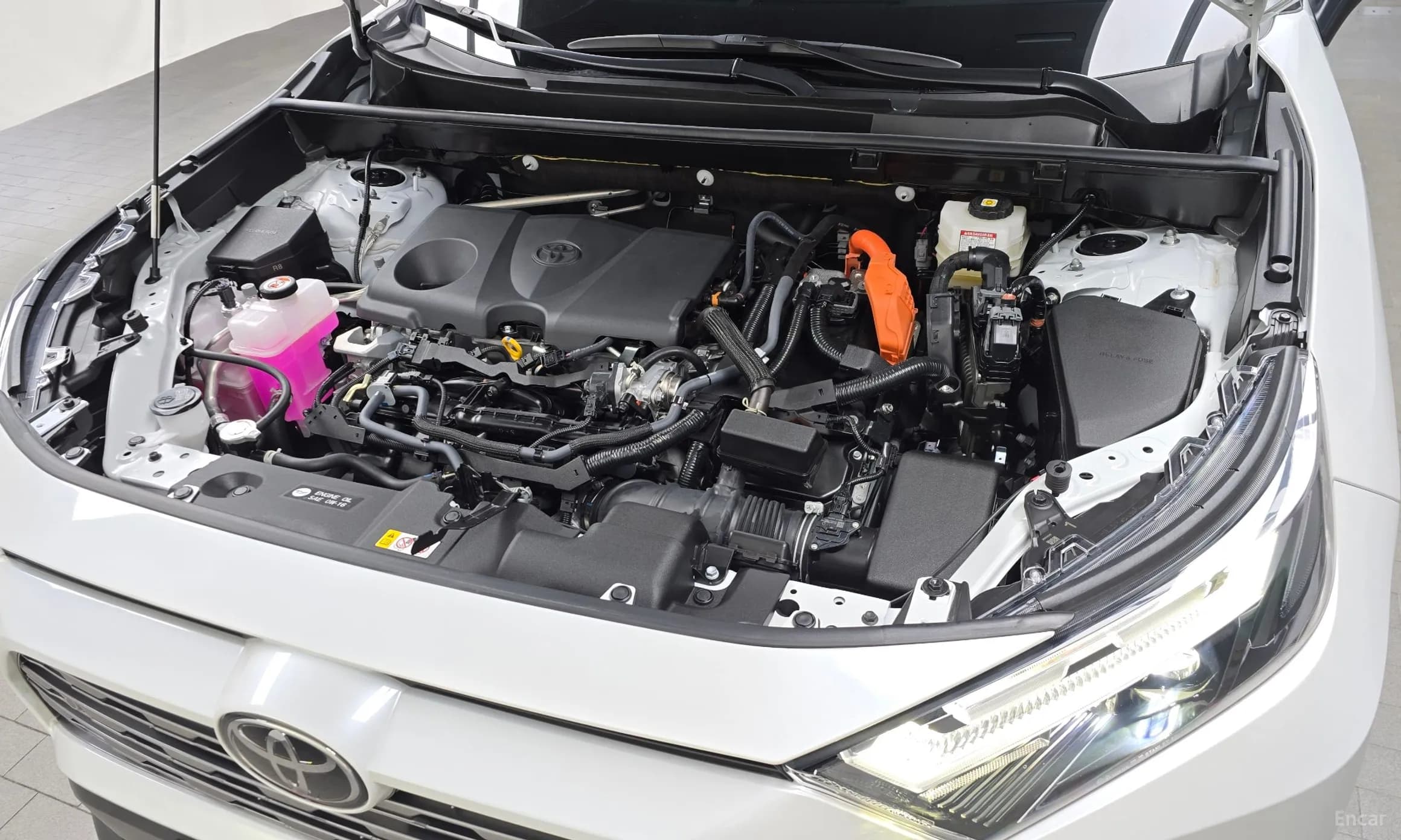 RAV4 5th Generation