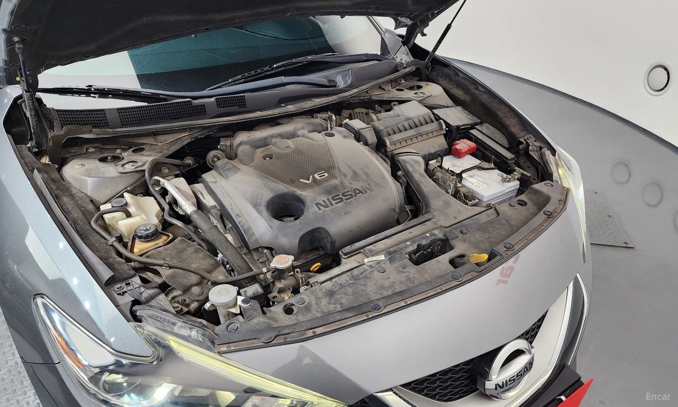 Maxima (A36)