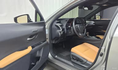 UX250h