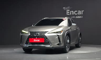 UX250h