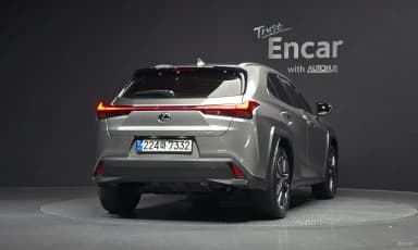 UX250h