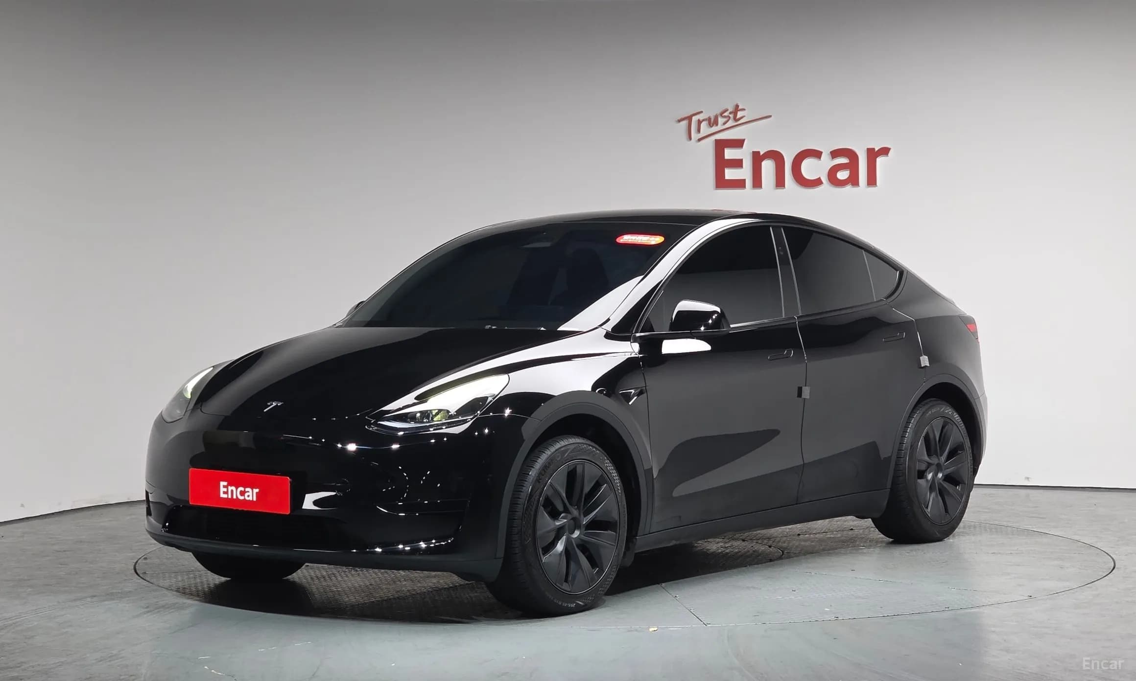 Model Y