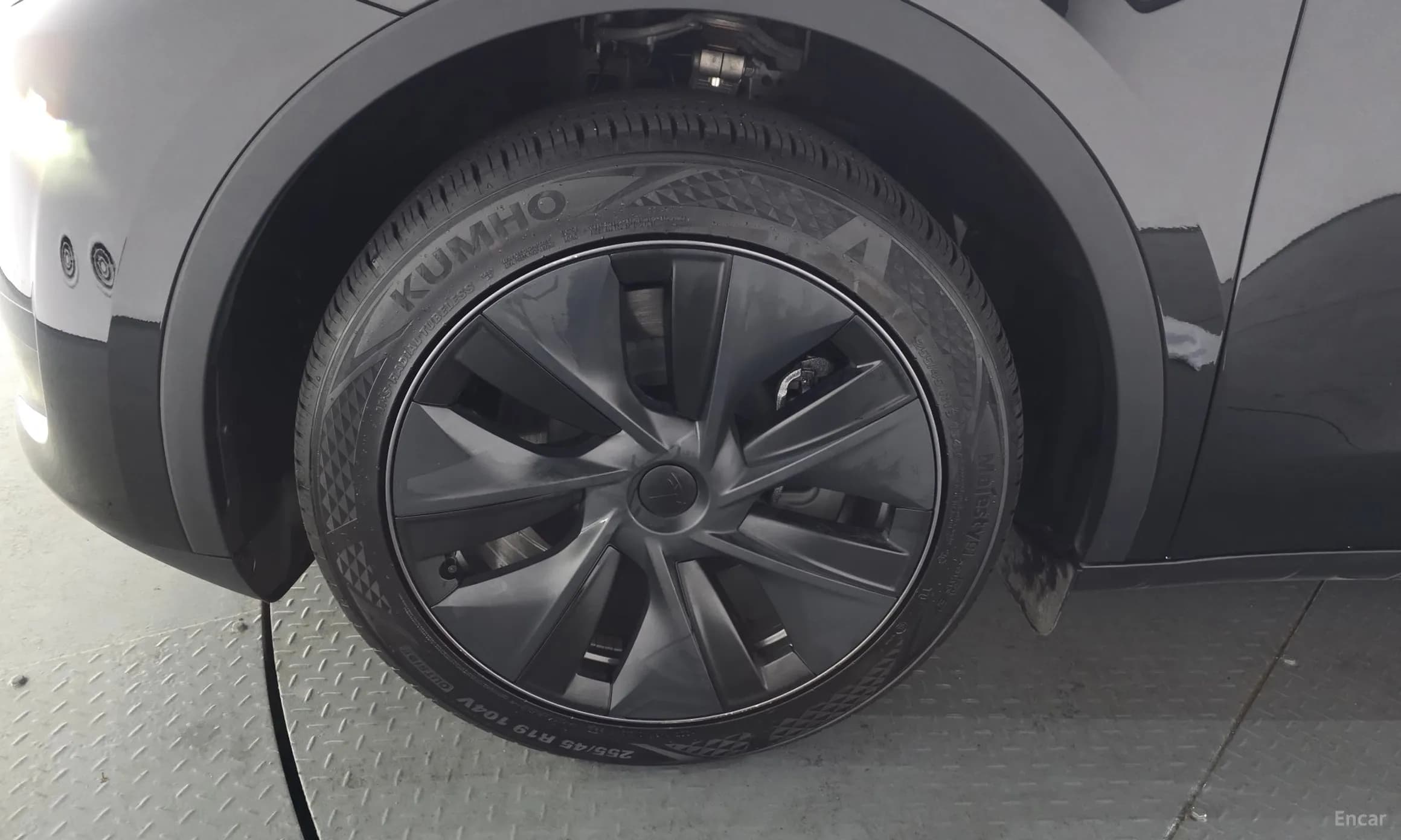 Model Y