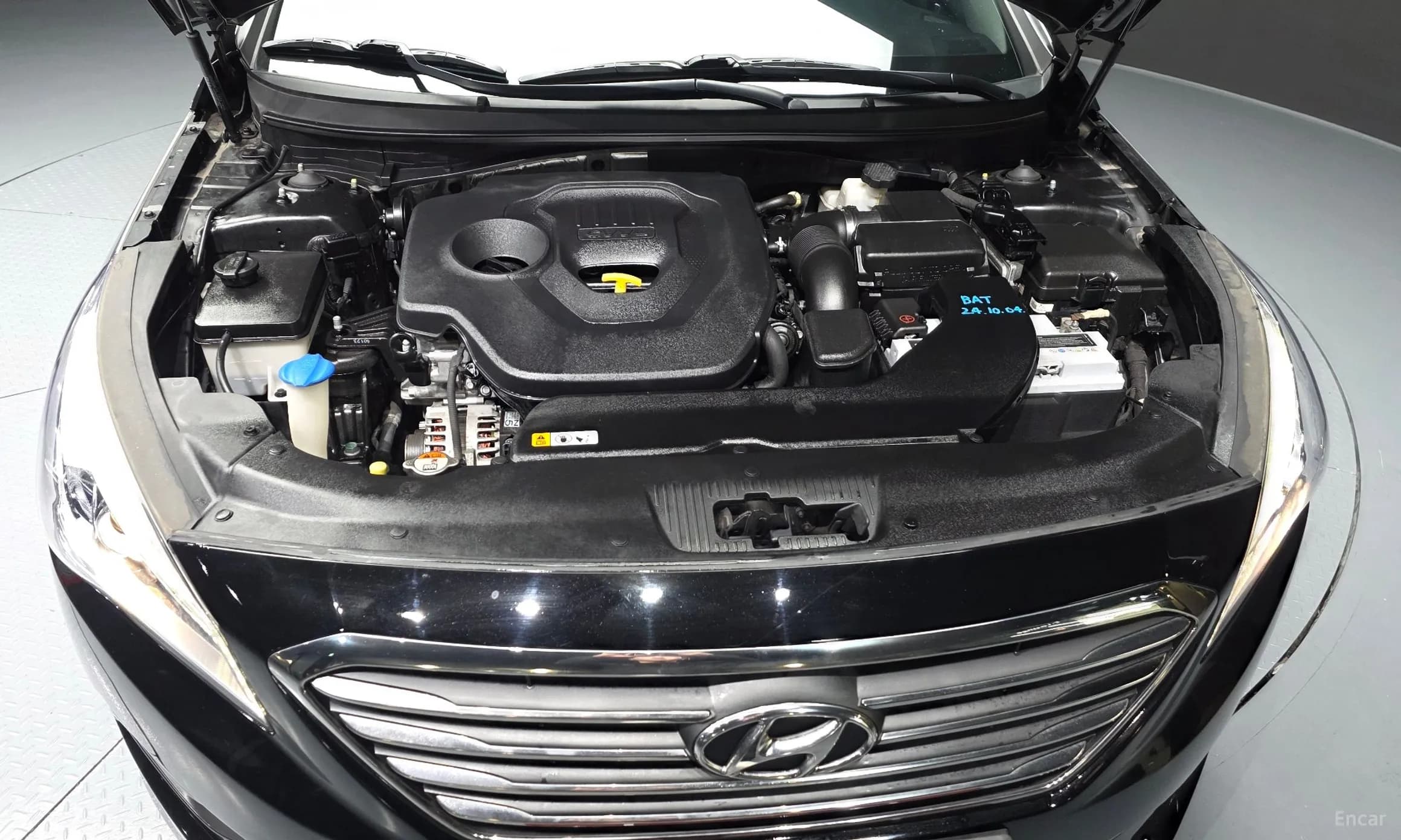 LF Sonata