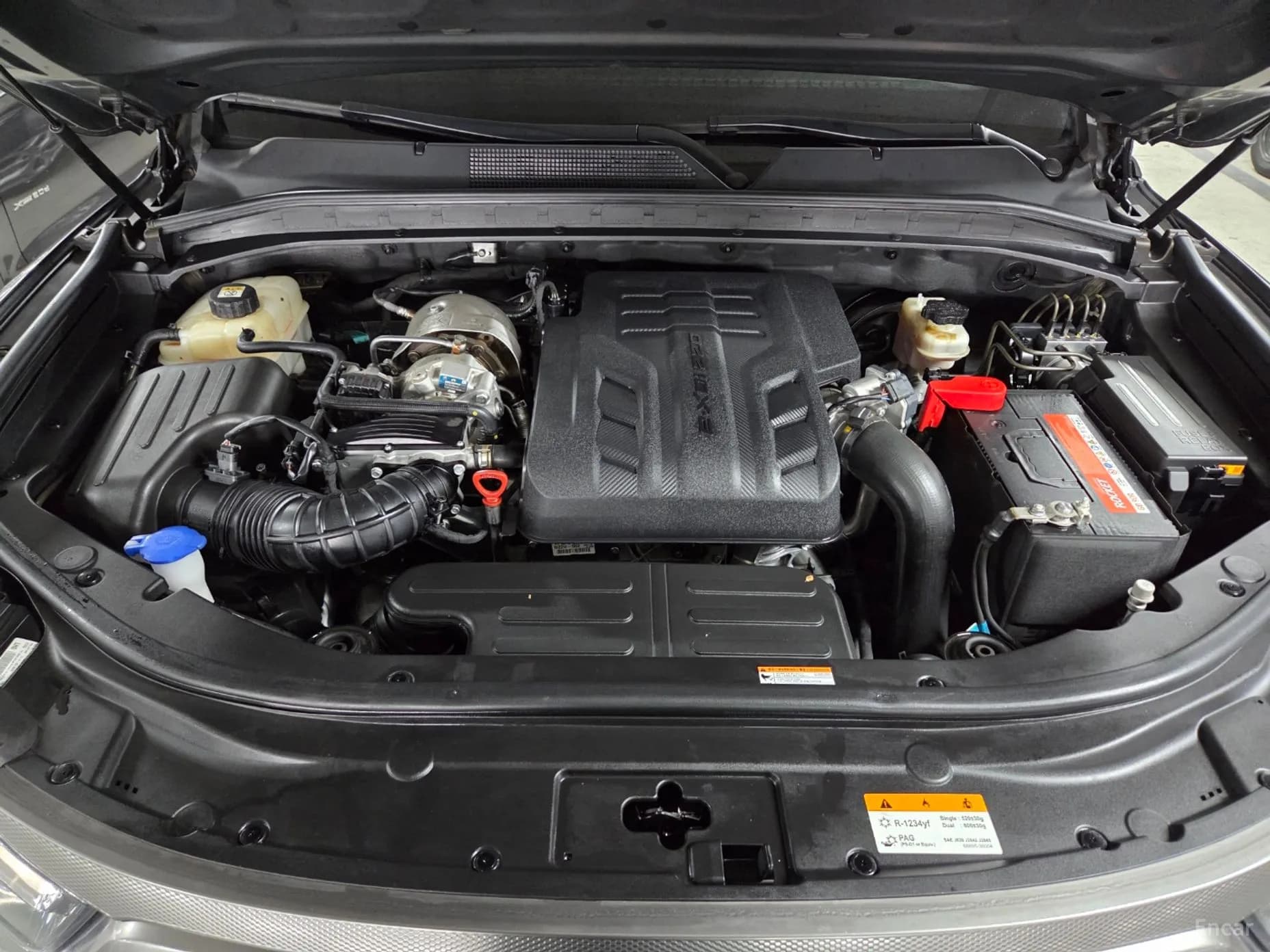 Rexton Sports Khan