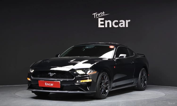 Mustang