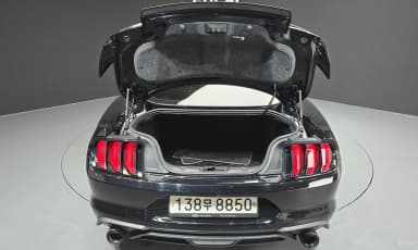 Mustang