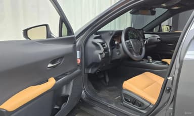 UX300h
