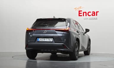 UX300h