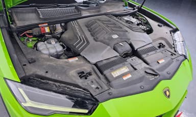 Urus