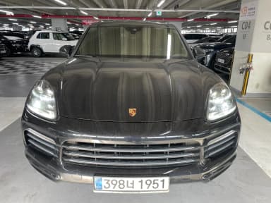 Cayenne (PO536)