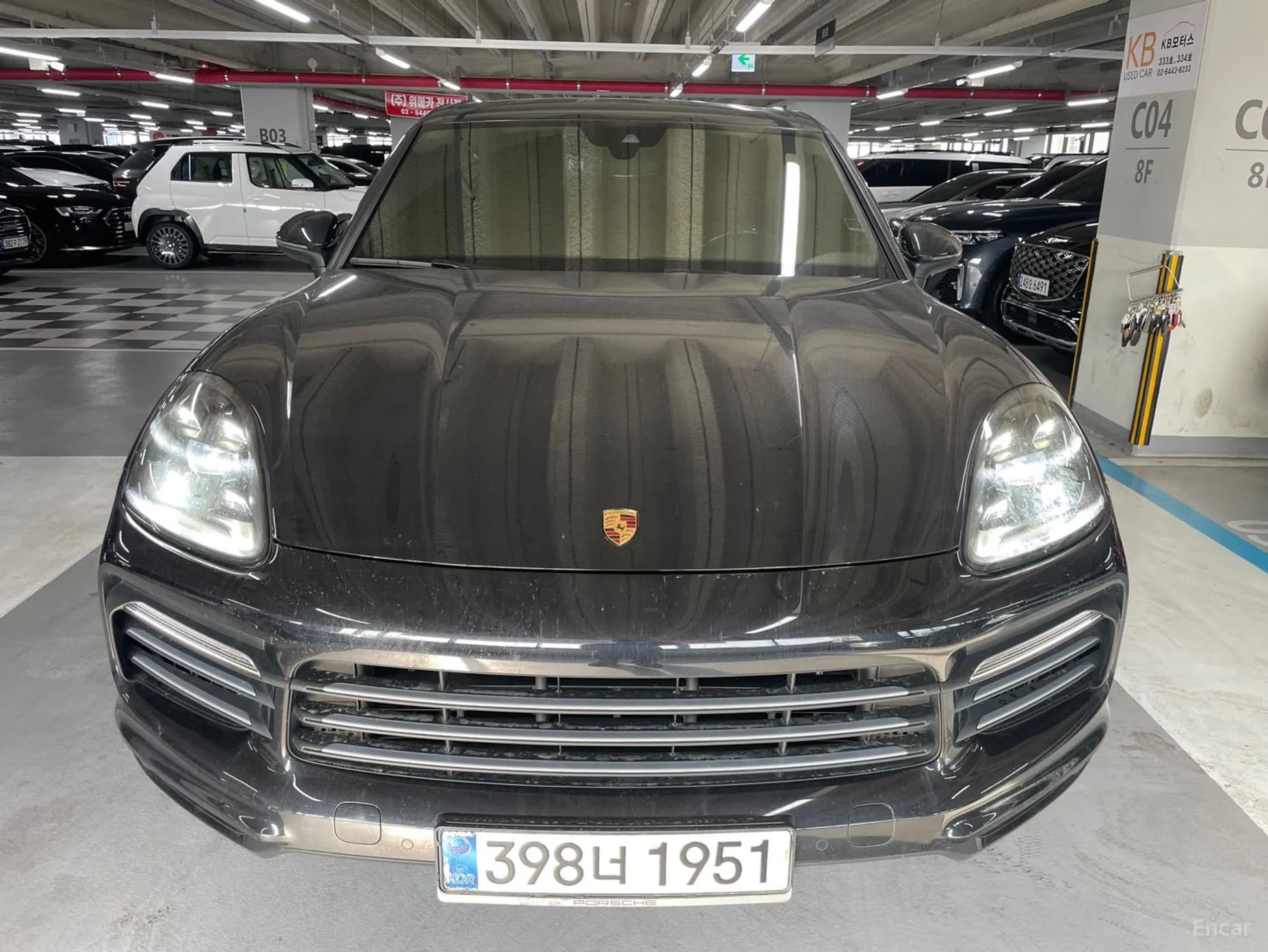 Cayenne (PO536)