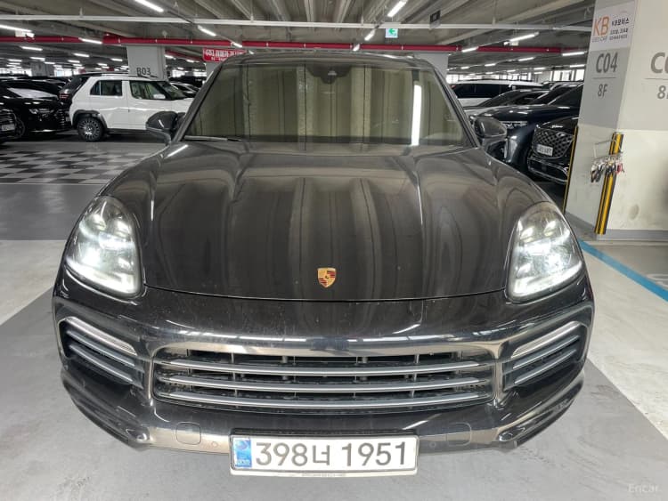 Cayenne (PO536)