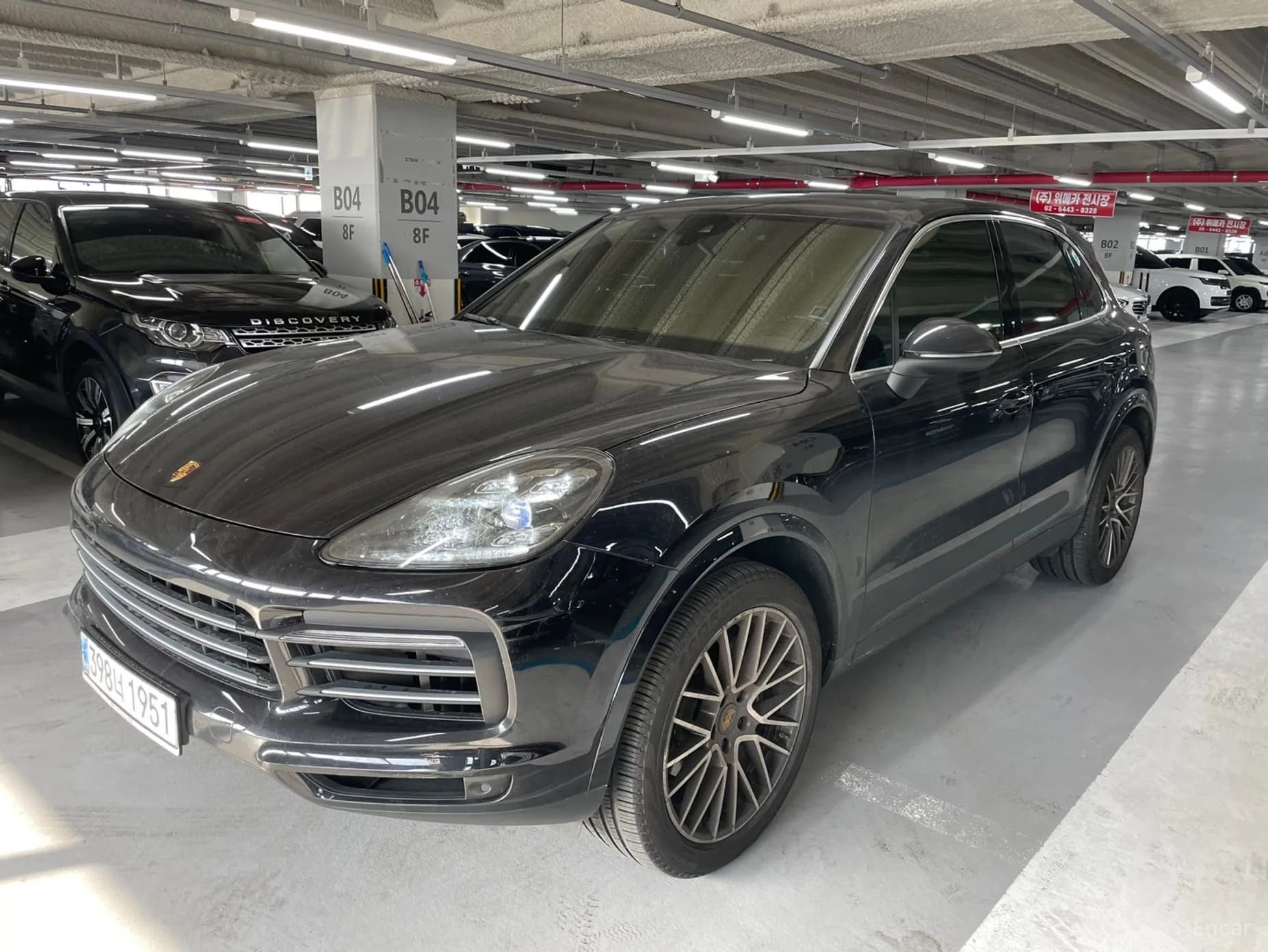 Cayenne (PO536)